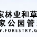 中國林科院木工所和中國文物保護(hù)基金會聯(lián)合參展2019年上海遺產(chǎn)保護(hù)博覽會