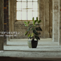 建為新聞｜建筑不老遺產(chǎn)永恒——2017國際建筑遺產(chǎn)保護與修復博覽會宣傳片